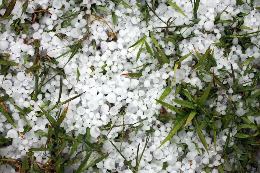 a pile of hail in a grassy yard